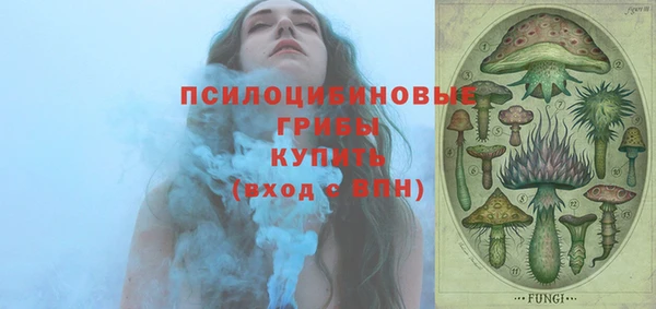 молекула духа Волосово