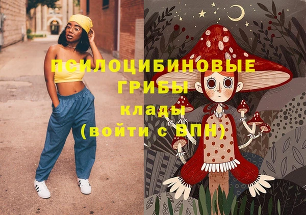МДПВ Волоколамск