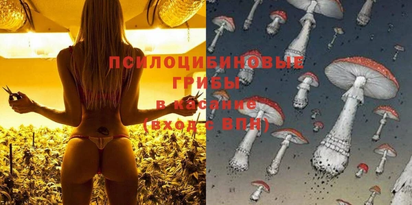 молекула духа Волосово