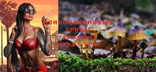 молекула духа Волосово