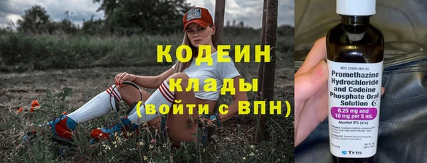 молекула духа Волосово