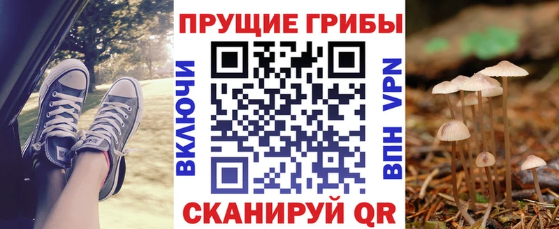 Псилоцибиновые грибы GOLDEN TEACHER Мариинск