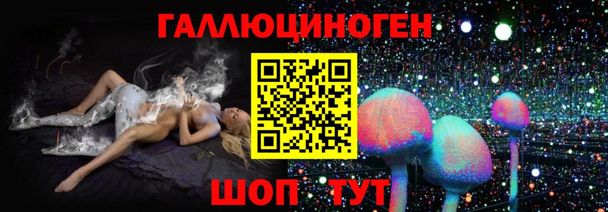 Галлюциногенные грибы мухоморы Мариинск