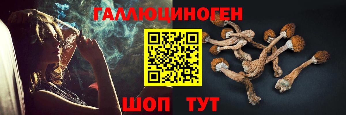 Псилоцибиновые грибы мухоморы  Вход с VPN  Мариинск 